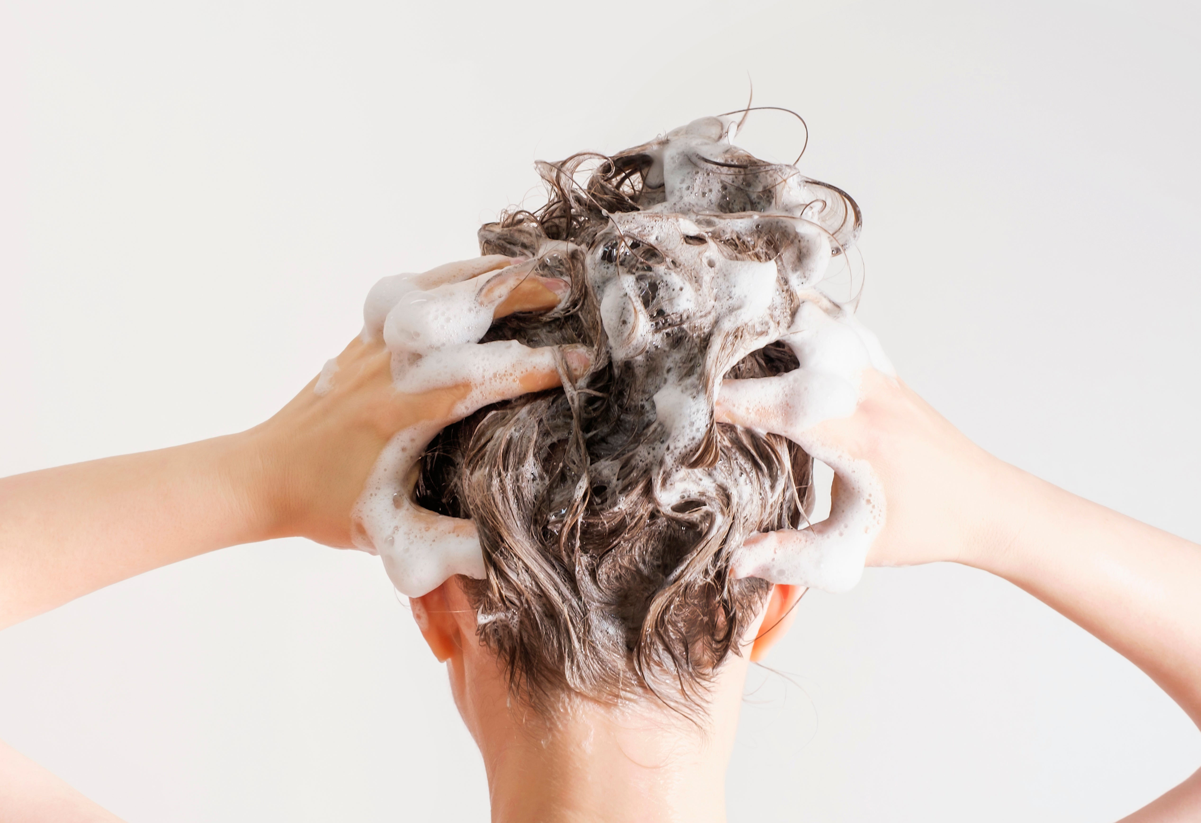 A girl washes her hair with shampoo on white background-back view by TATIANA KIM