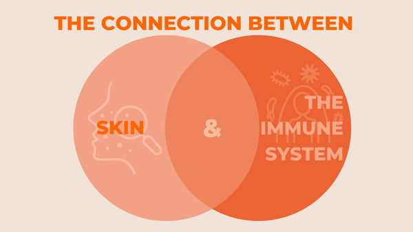 The Connection Between Skin and the Immune System