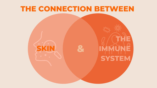 The Connection Between Skin and the Immune System
