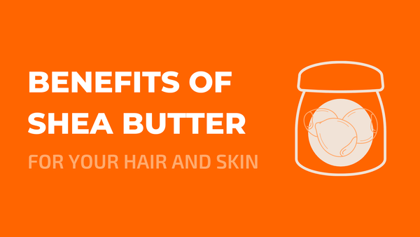 Benefits of Shea Butter for Your Hair and Skin - Cleure