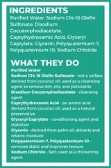 What Cleure Shampoo ingredients do